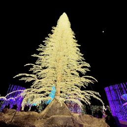 Christmas lights at Enchant LA 2025