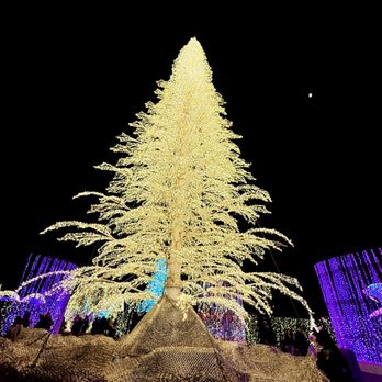 Christmas - Christmas lights at Enchant LA 2025 - Gift Shops Near Me - North Pole, Alaska