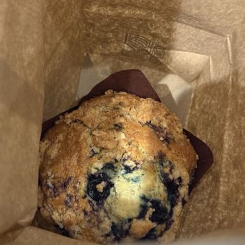 Old Europe Pastries - Blueberry Muffin - Coffee & Tea Near Me - Asheville, North Carolina Old Europe Pastries - Blueberry Muffin - Coffee & Tea Near Me - Asheville, North Carolina