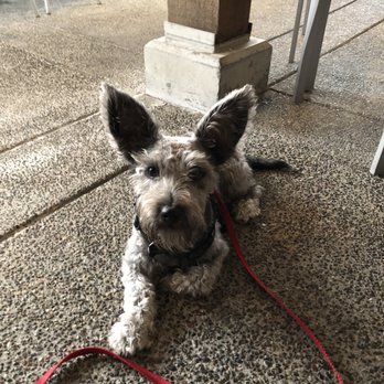 Firestone Walker - Paso Robles - Dog friendly patio area. - Breweries Near Me - Paso Robles, California Firestone Walker - Paso Robles - Dog friendly patio area. - Breweries Near Me - Paso Robles, California