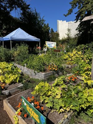 Jubilee Railroad Wilderness Lodge by null