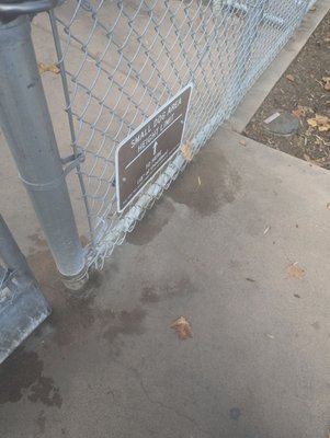 Reed Street Dog Park by null