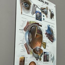 Circle Of Life Eyecare Center - The Amazing Eye