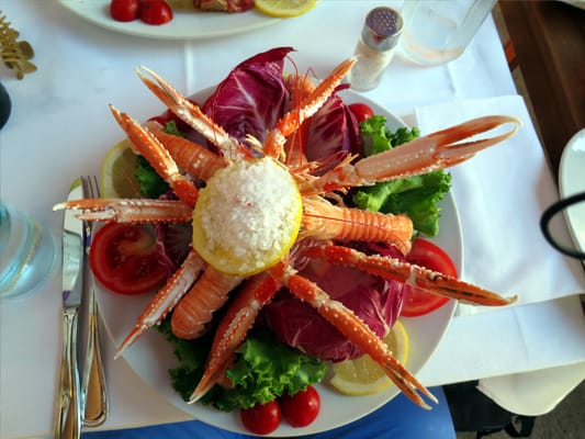Il Gambero Rosso Vernazza by null