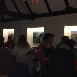 Elefantenhaus Michelstadt - Am 2. Advent