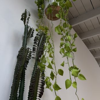 Native Studio Salon - Hair Stylists Near Me - Oakland, California