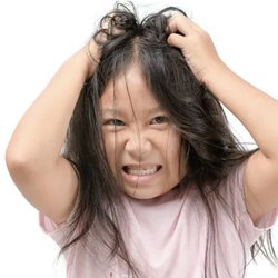 Lice Mamas