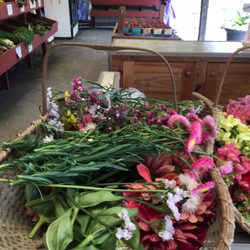 Holmquest Farms - Pick your own flowers