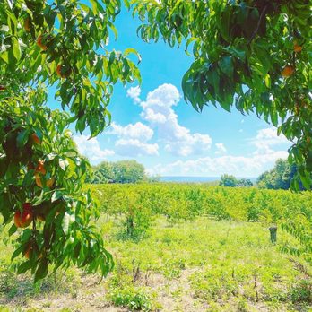 Demarest Farm - Farmers Market Near Me - Hillsdale, New Jersey