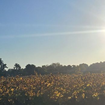 Scribner Bend Vineyards - Venues & Event Spaces Near Me - Sacramento, California