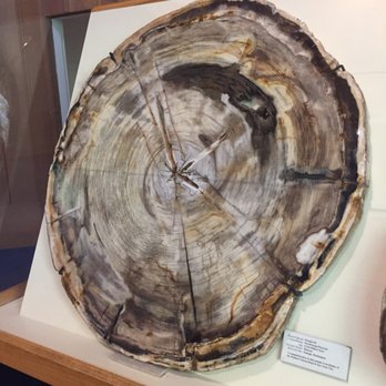 World Forestry Center - Museums Near Me - Portland, Oregon World Forestry Center - Museums Near Me - Portland, Oregon
