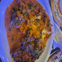 Bolognese Bolognese