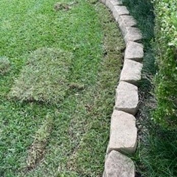 Bridge Point Services - What it took to re-sod and fix the edges Damien destroyed. - Lawn Services Near Me