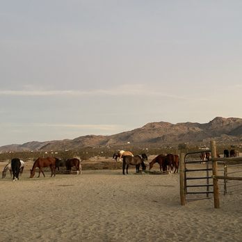 Cascade Trails Mustang Sanctuary - Horseback Riding Near Me