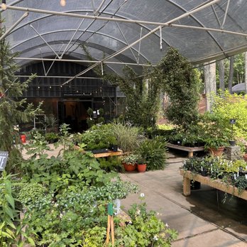 Norwood Gardens - Outdoor plants - Nurseries & Gardening Near Me - Raleigh, North Carolina