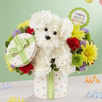 Whiting Flower Shop - What I ordered... - Florists Near Me - Whiting, Indiana