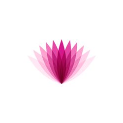 Root to Rise Massage Therapy & Yoga - Root to Rise Massage Therapy & Yoga