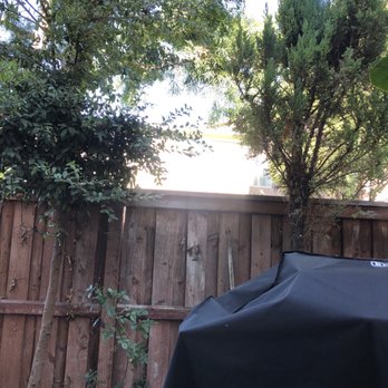 Bell's Landscaping - More trees - Tree Services Near Me