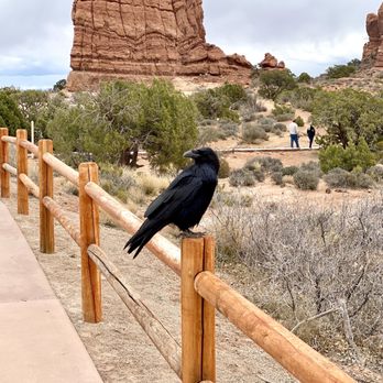 Arches National Park - Parks Near Me Arches National Park - Parks Near Me