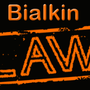 Photo of Bialkin Law