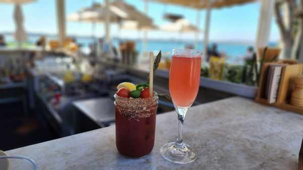 Malibu Farm San Diego by null