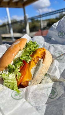 Plant Power Fast Food by null