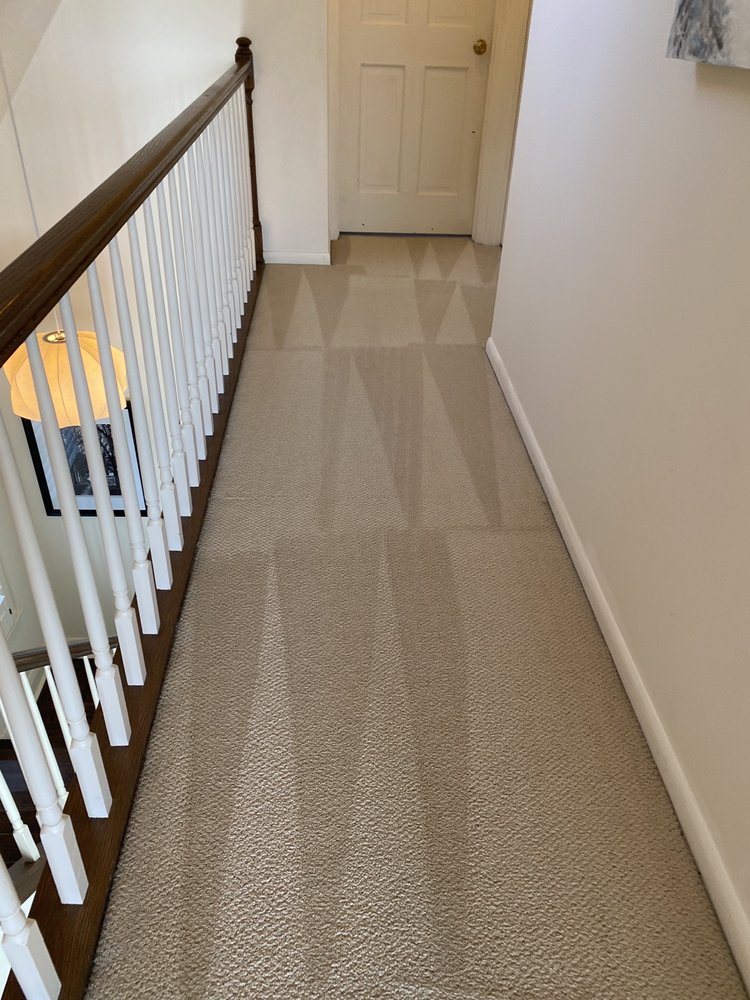 DAISY CARPET AND UPHOLSTERY CLEANING Updated September 2024 10