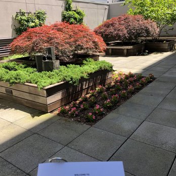 175 Kent Apartments - Zen garden. I've never once been out here while living in the apartment - Apartments Near Me - Brooklyn, New York