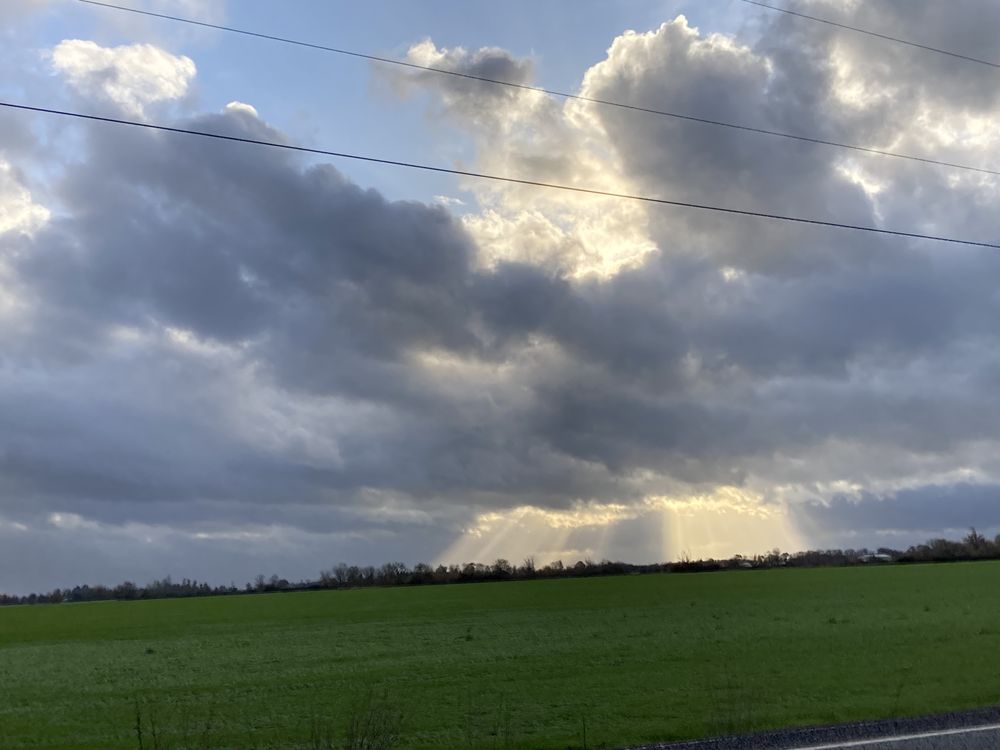 EUGENE MASSAGE AND BODYWORK Updated September 2024 14 Photos & 11 Reviews 111 E 16th Ave