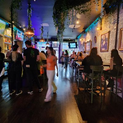 Neon Gardens by null