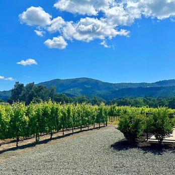 Whitehall Lane Winery - Wineries Near Me - St. Helena, California Whitehall Lane Winery - Wineries Near Me - St. Helena, California