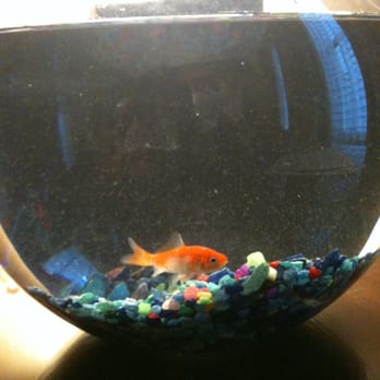 Kimpton Hotel Monaco Denver - We named him Particle Sam - Hotels Near Me - Denver, Colorado Kimpton Hotel Monaco Denver - We named him Particle Sam - Hotels Near Me - Denver, Colorado