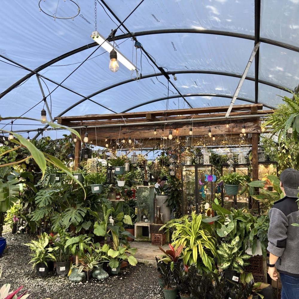 Plants Alive! - Nurseries & Gardening Near Me - Silver Spring, Maryland Plants Alive! - Nurseries & Gardening Near Me - Silver Spring, Maryland