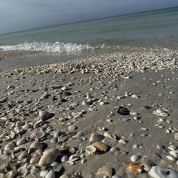 Shell island