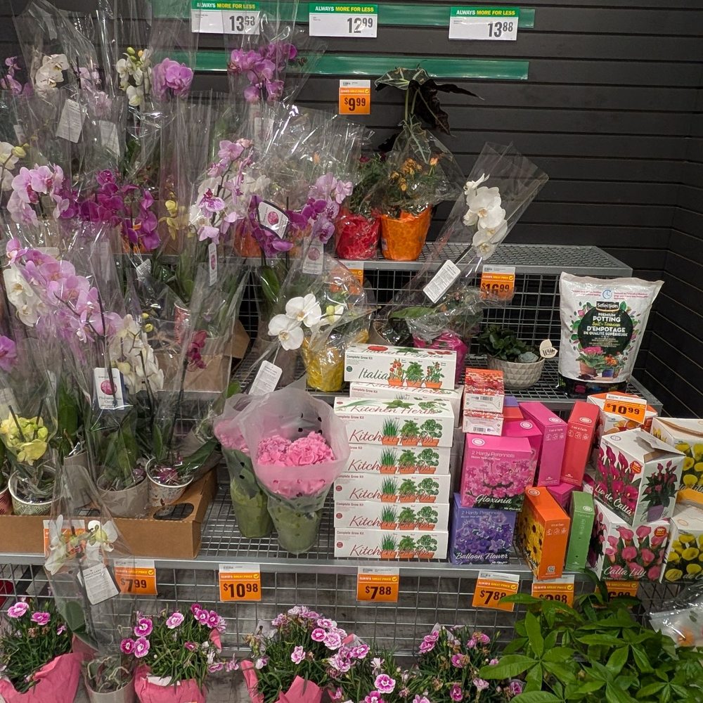 Food Basics - Plants and more - Grocery Near Me - Pickering, Ontario