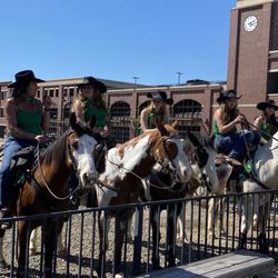 Snooks Chocolate Factory - St.Patrick's Day 2024