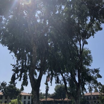 Webb Park - Parks Near Me - Rancho Bernardo, California