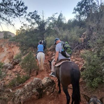 Zion Mountain Trail Rides - Up some fun trails. Rocky, trust the horse, they know what they are doing. - Horseback Riding Near Me - Orderville, Utah Zion Mountain Trail Rides - Up some fun trails. Rocky, trust the horse, they know what they are doing. - Horseback Riding Near Me - Orderville, Utah