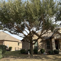 Ramirez Tree Service 512