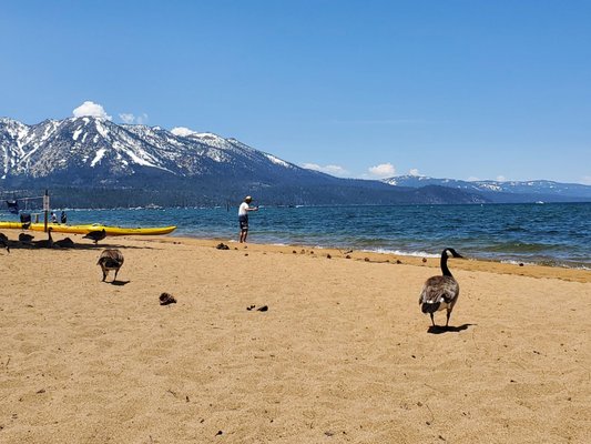Pope Beach by null