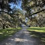 Photo of Edisto Nature Trail