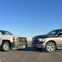 Photo of Centex Pest Patrol