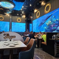 Juicy Dumplings - Aquarium motif