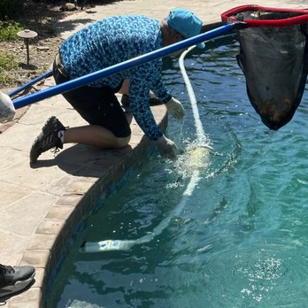 Risi Brothers Pools - Pool Cleaners Near Me Risi Brothers Pools - Pool Cleaners Near Me