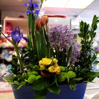 Fleuriste Cote-des-Neiges - Florists Near Me - Montreal, Quebec Fleuriste Cote-des-Neiges - Florists Near Me - Montreal, Quebec