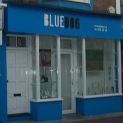 Bluedog Gallery
