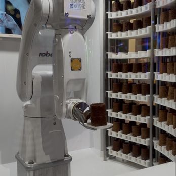 Dominique Ansel - The robot Chef himself - Bakeries Near Me - Las Vegas, Nevada Dominique Ansel - The robot Chef himself - Bakeries Near Me - Las Vegas, Nevada
