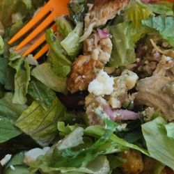 Salad and Go