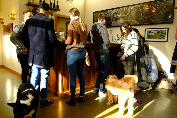 Foursight Wines by null