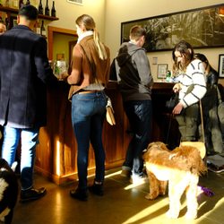 Foursight Wines - Dog-friendly wine tasting